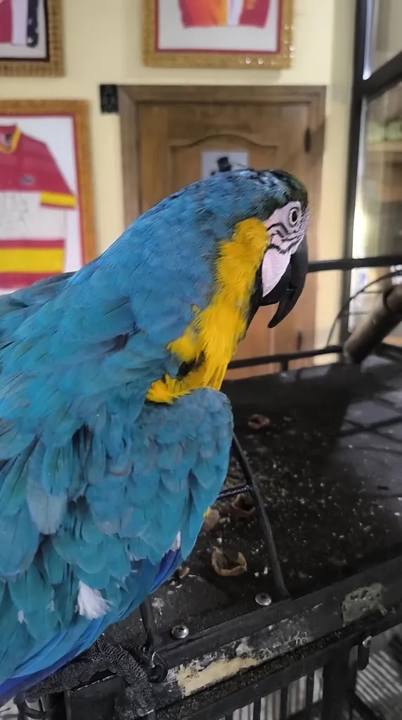 Gabi Gomez_Casa Aurelia_Villaralbo_review