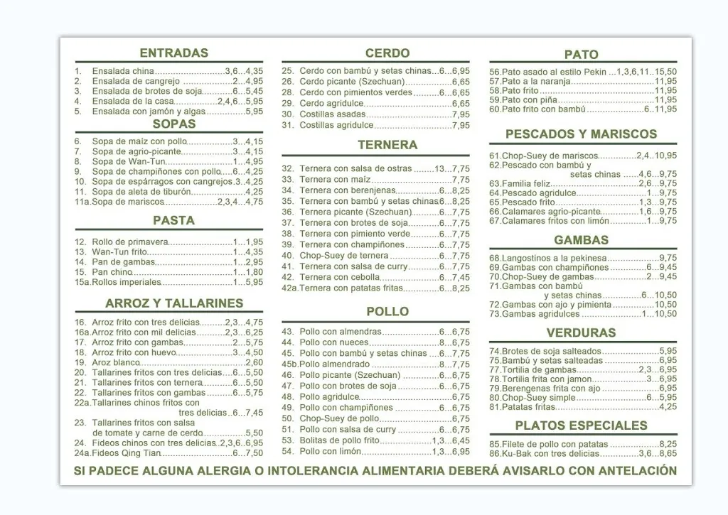 Menu_Restaurante Chino en Vicálvaro Oriente Capital. Repartimos en Vicálvaro, Moratalaz, Cañaveral, San Blas y otros_Villardondiego_image_1