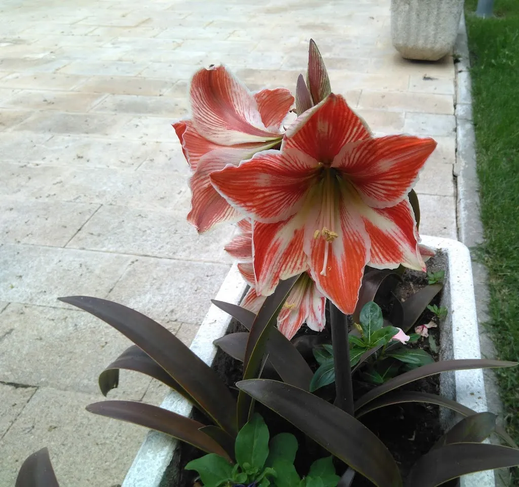 Meson Prigar_Villarrín de Campos_slider_image_3