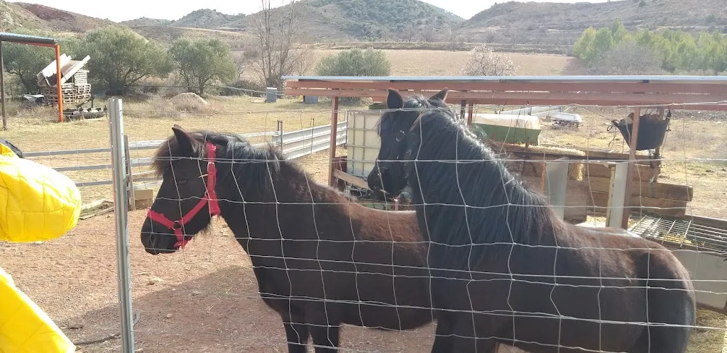 mami miry_Bar de Aladrén 