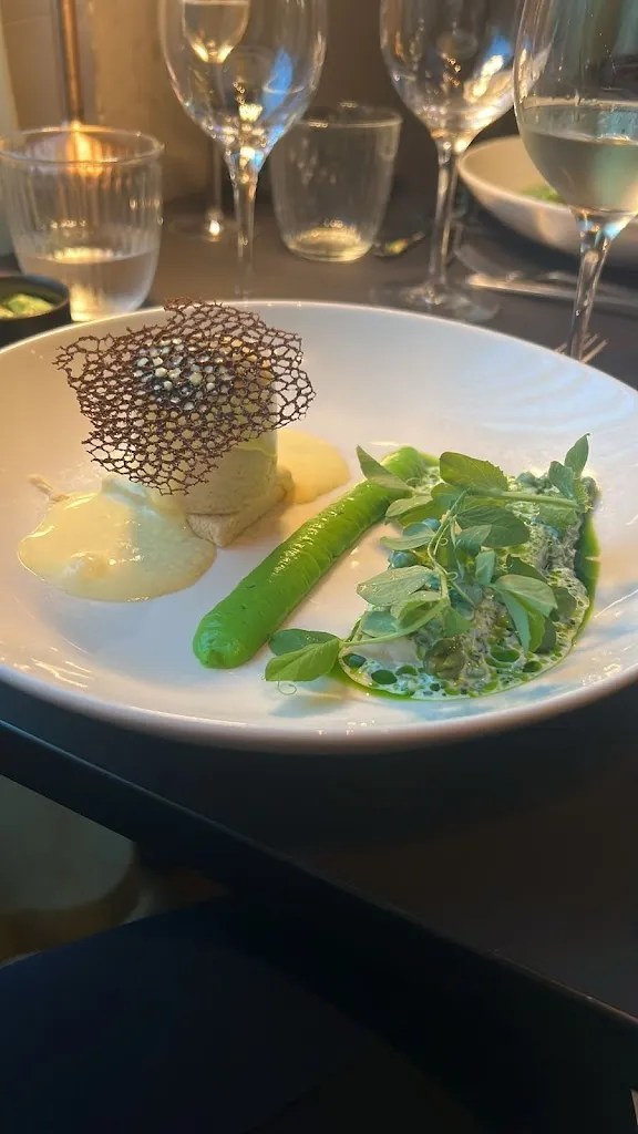 Philippe Nicolini_Det Glade Vanvid - Aalborg_Alborge_review