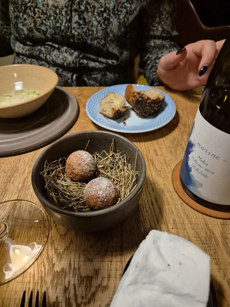 Indra Bock Nielsen_Alimentum_Alborge_recensione