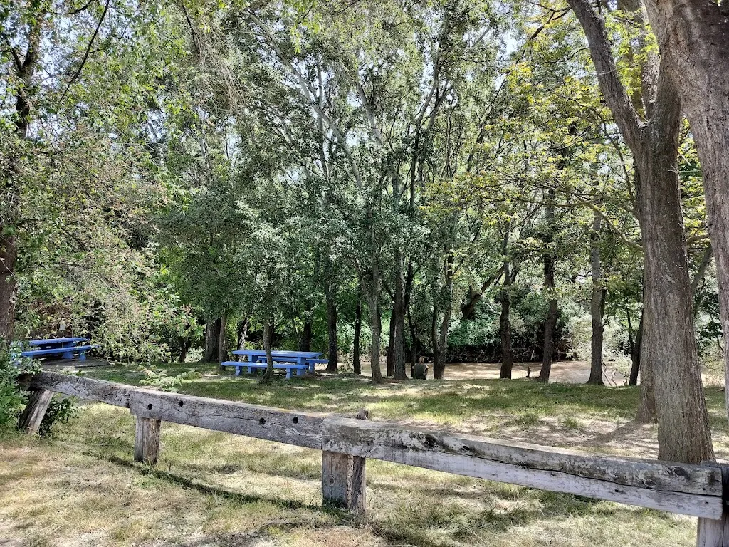 Rebelwillow_Restaurante Merendero el Caracol_Alagón_avis