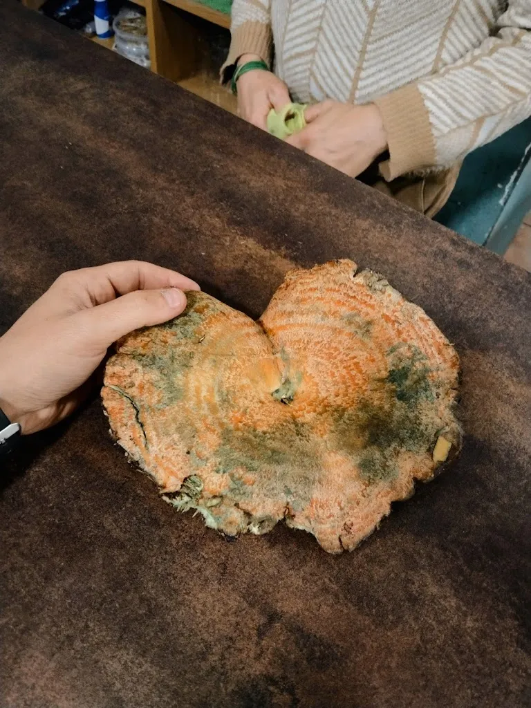 Menu_BAR Y TIENDA_Alcalá de Moncayo_image_2