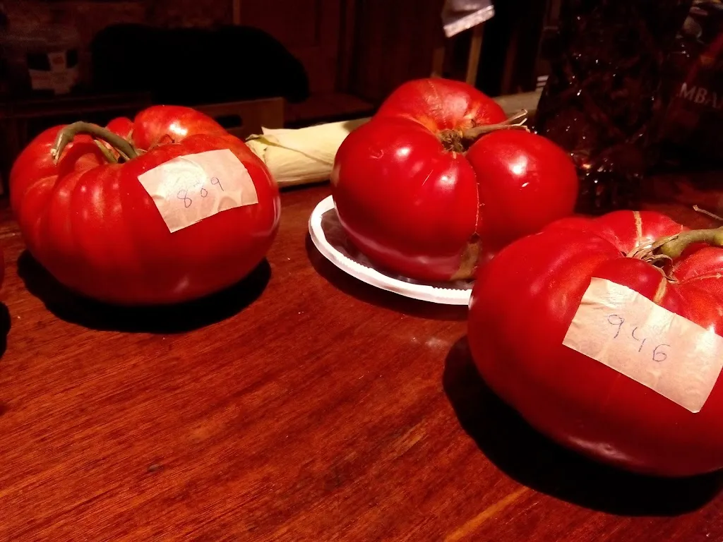 Menu_BAR Y TIENDA_Alcalá de Moncayo_image_8