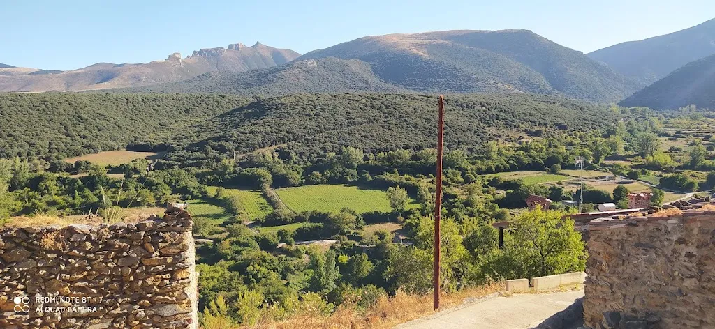 Ninesperez@gmail.com 1234perez_BAR Y TIENDA_Alcalá de Moncayo_review