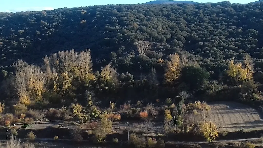 BAR Y TIENDA_Alcalá de Moncayo_slider_image_2