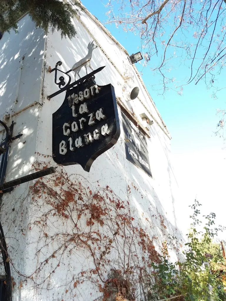 Marga E.E._Restaurante La Corza Blanca de Veruela_Alcalá de Moncayo_review