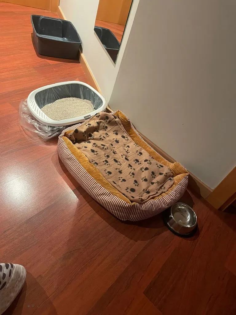 Alex Cohen_Hotel Alfinden_Alfajarín_recensione