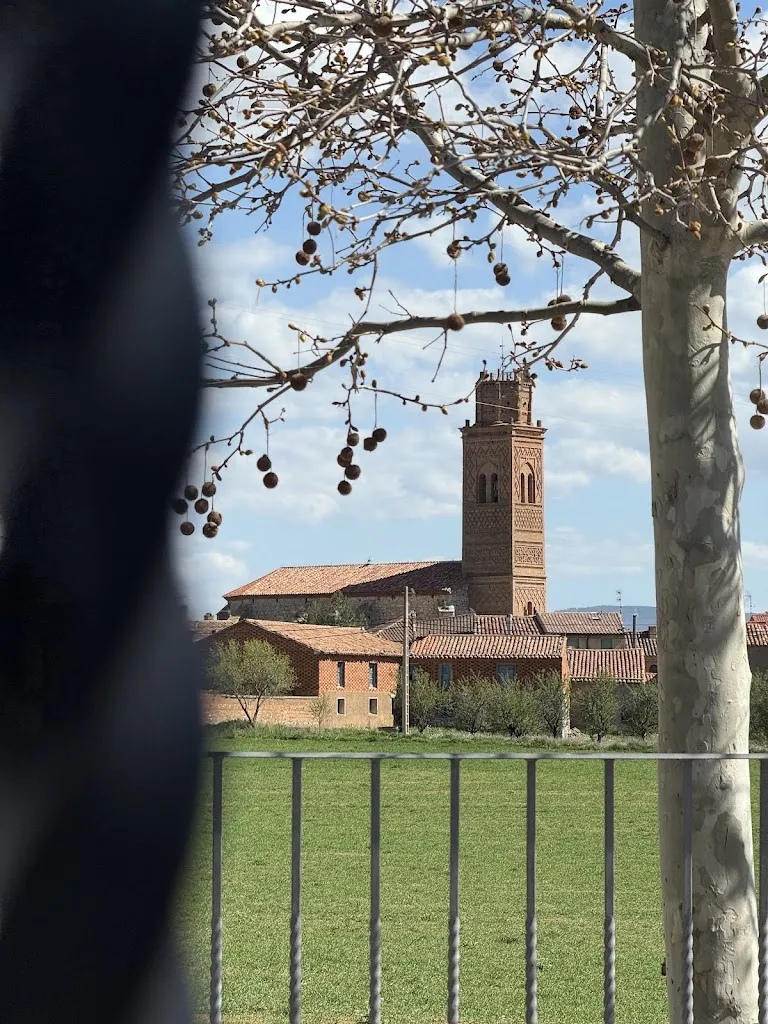 Mariano Espallargas_RESTAURANTE BRASERIA ROMANOS_Badules_review