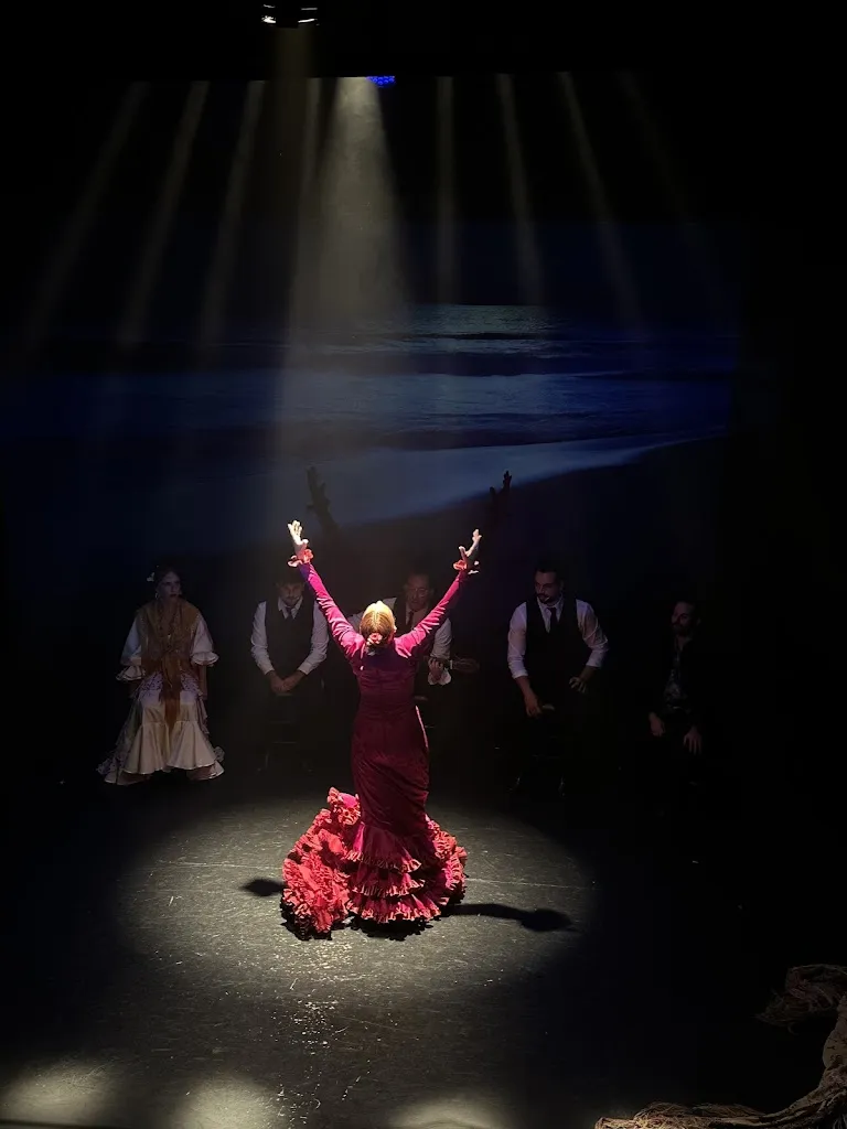 Abdullah Almohannadi_Teatro Flamenco Madrid_Viator_review