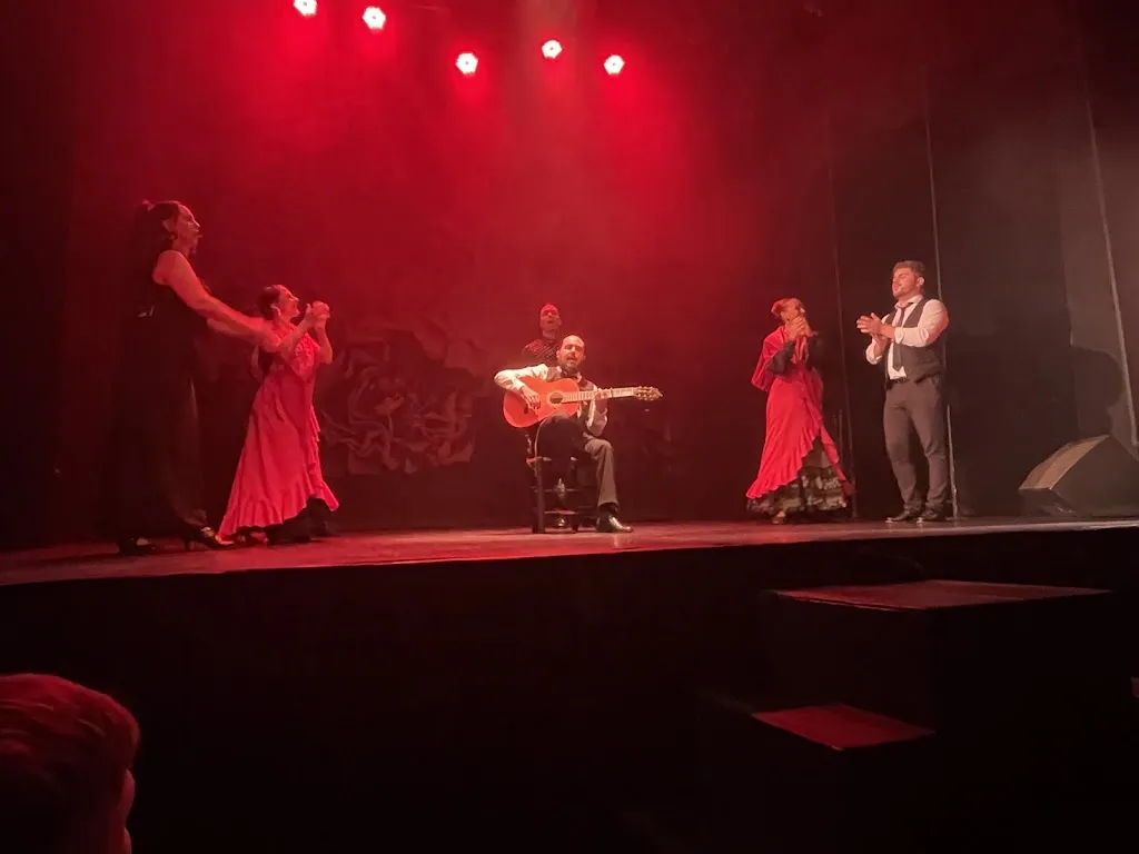 Savvas Bonas_Teatro Flamenco Madrid_Viator_review