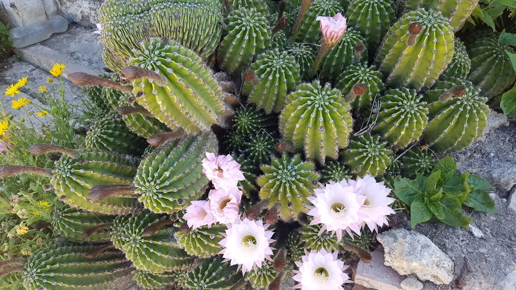 Bar Laura_Bardallur_slider_image_2