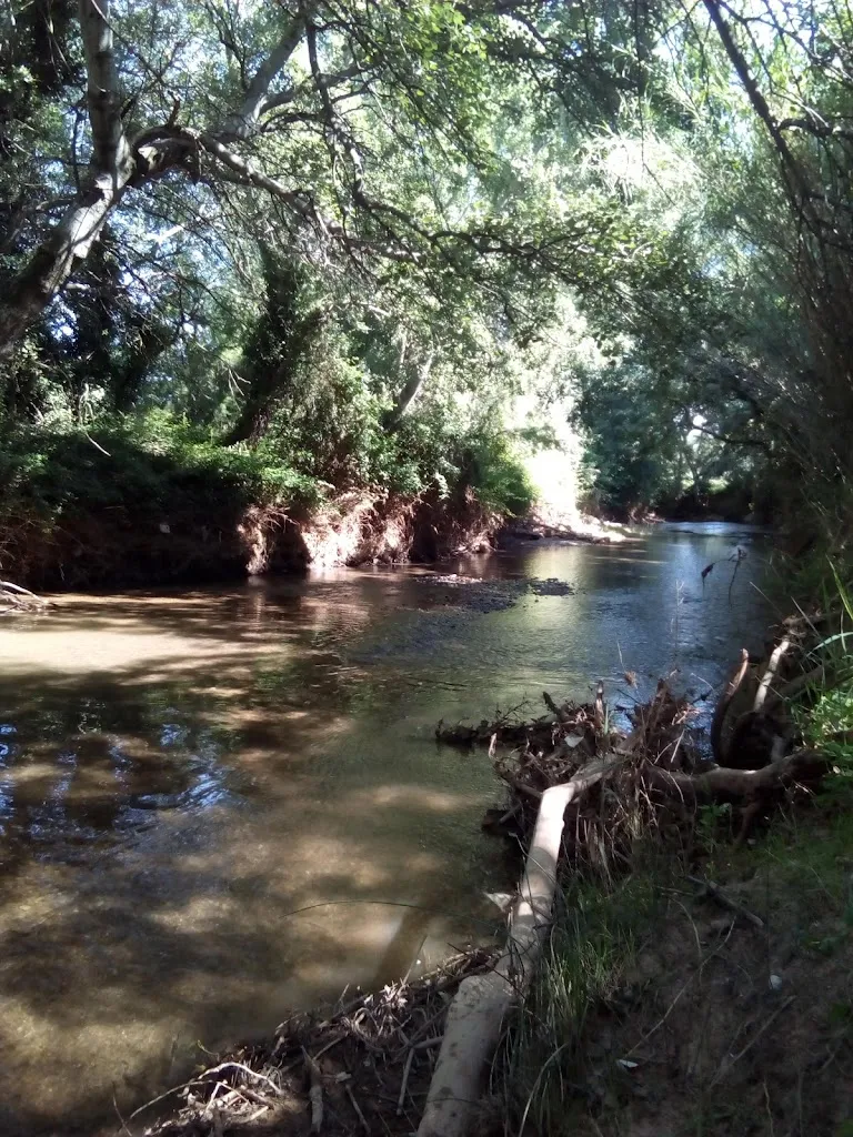 Campo De plasencia restaurant in Bardallur