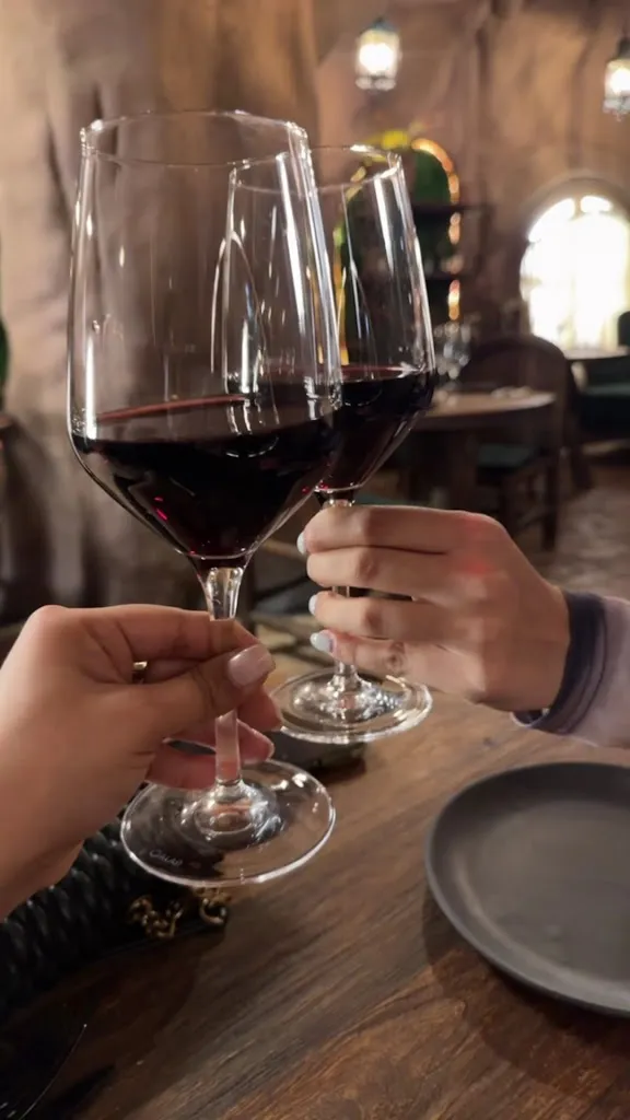 Kissairis Basora M_Voltereta Nueva Zelanda - Zaragoza_Botorrita_review