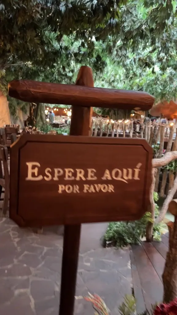 Diana Hidalgo_Voltereta Nueva Zelanda - Zaragoza_Botorrita_review