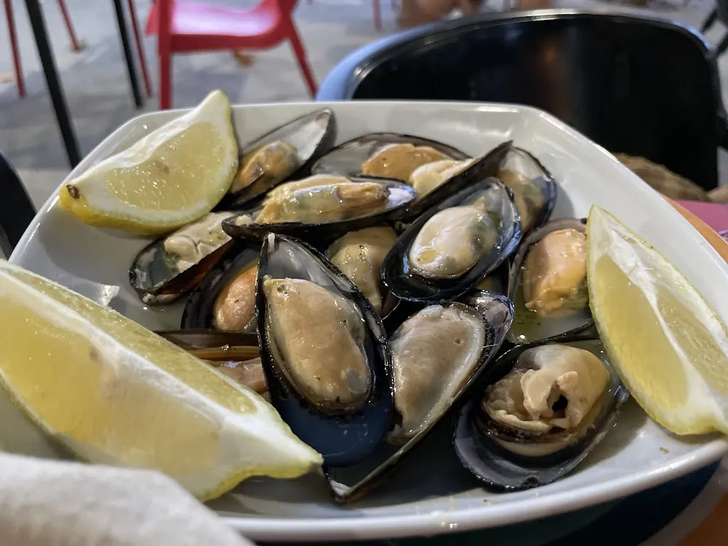 Rafael Zayas Muñoz-Cobo_Bar Restaurante El Santuario_Bisimbre_review