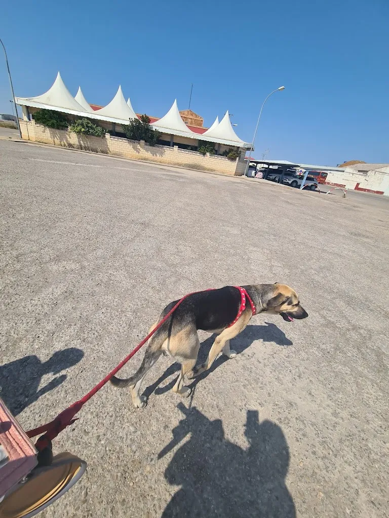 Eliana Parra Morales_Casa Beltrán_Cabañas de Ebro_review