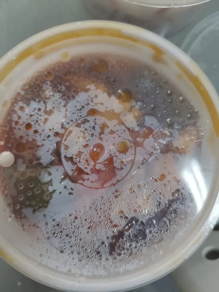 Menu_Vivium_Cuarte de Huerva_image_5