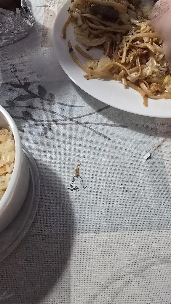 Andrea del Olmo_Vivium_Cuarte de Huerva_review