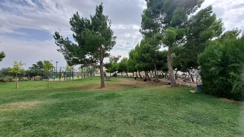 Rufus_BAR LAS PISCINAS FARLETE_Farlete_review