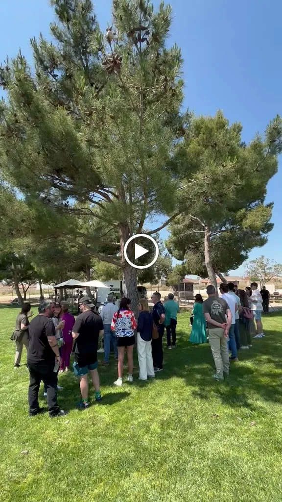 BAR LAS PISCINAS FARLETE_Farlete_slider_image_2