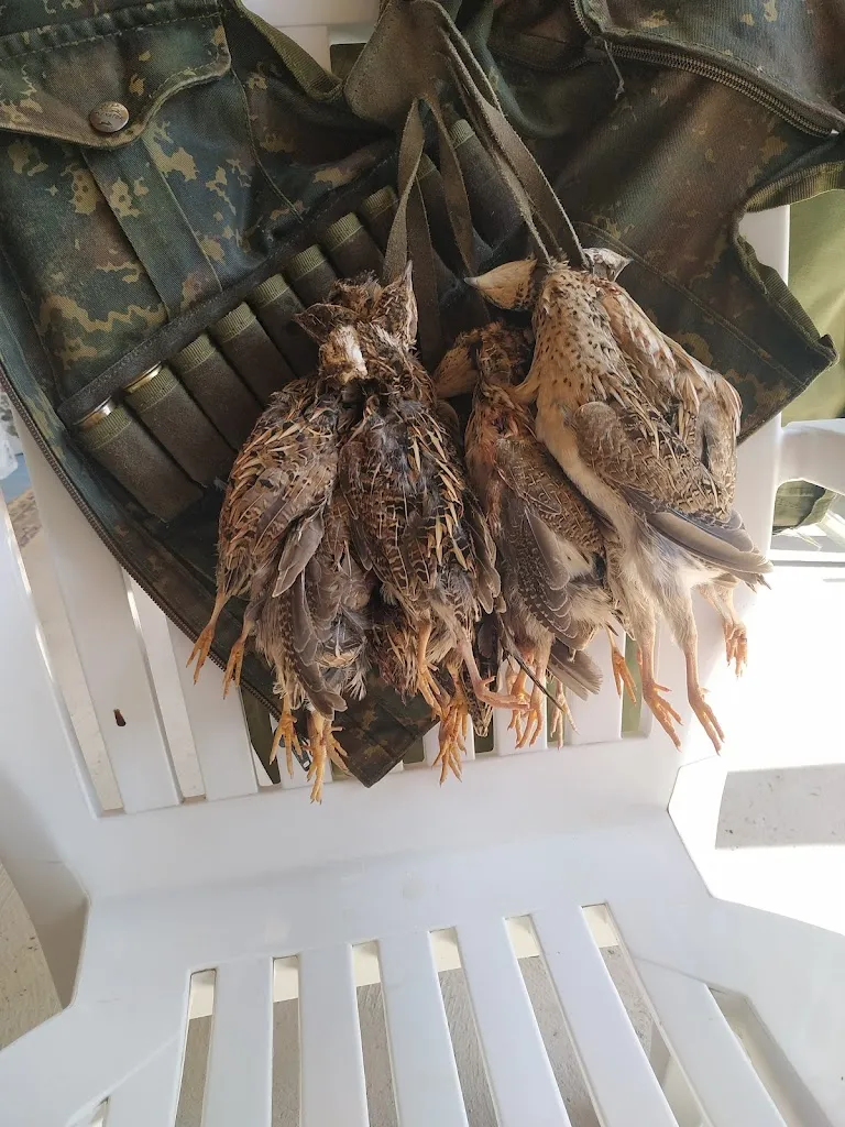 Romanos- Camino del Retiro_Fombuena_slider_image_1