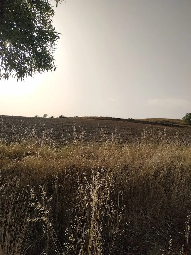 Romanos- Camino del Retiro_Fombuena_slider_image_3