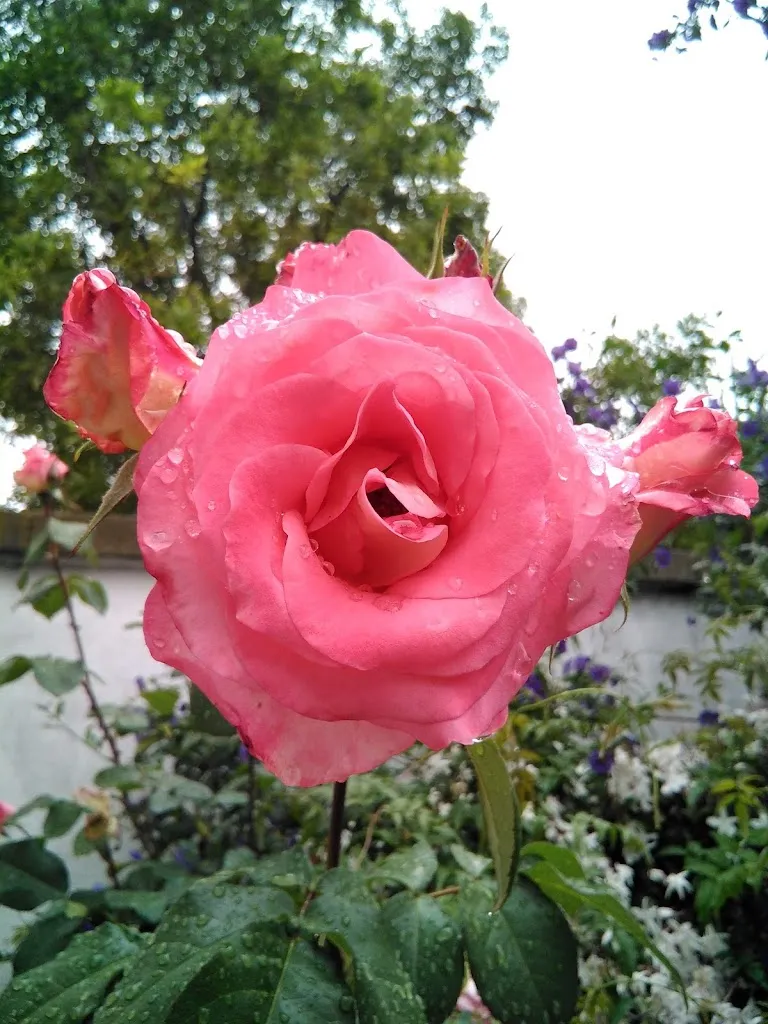 Anfield Tavern_Fayón_slider_image_3