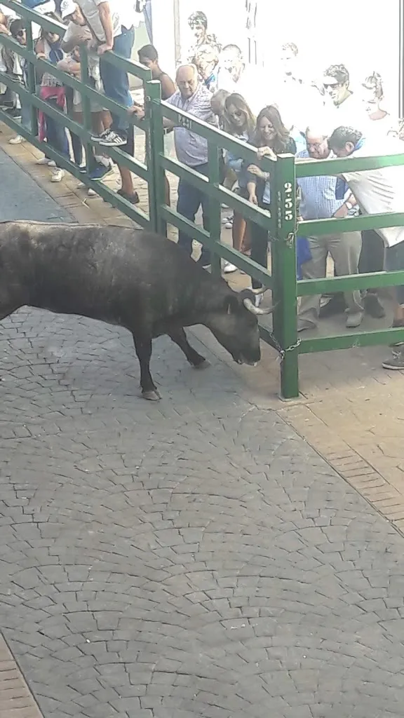 La Claketa_Ejea de los Caballeros_slider_image_3