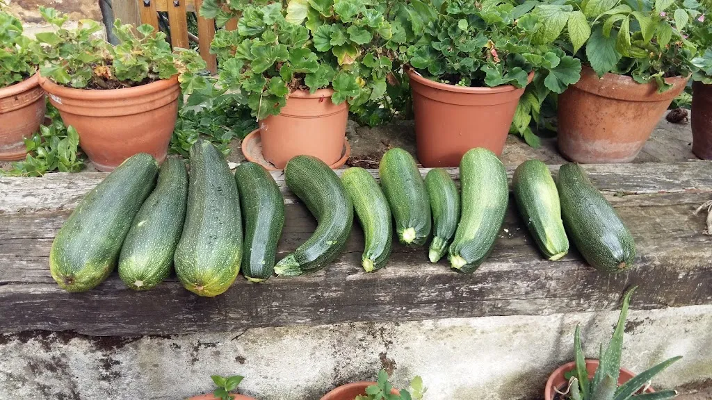 Menu_Restaurante Unzueta sagardotegia_Aramaio_image_1