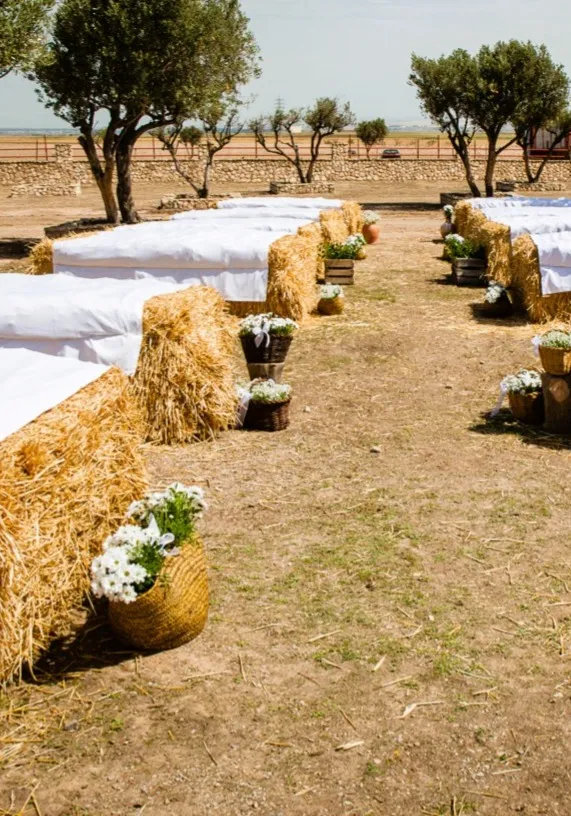 Finca el tentadero_Gallur_slider_image_2