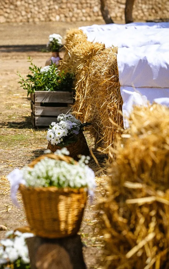 Finca el tentadero_Gallur_slider_image_3