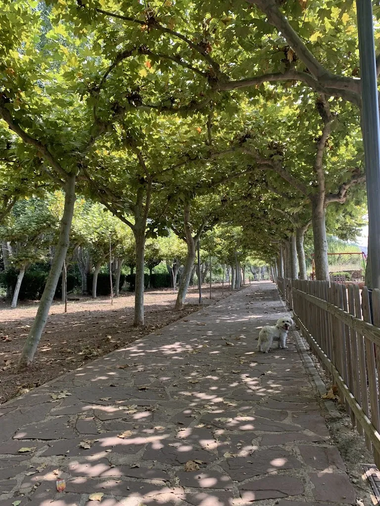 Chabier India_Gastro terraza la chopera_Illueca_review