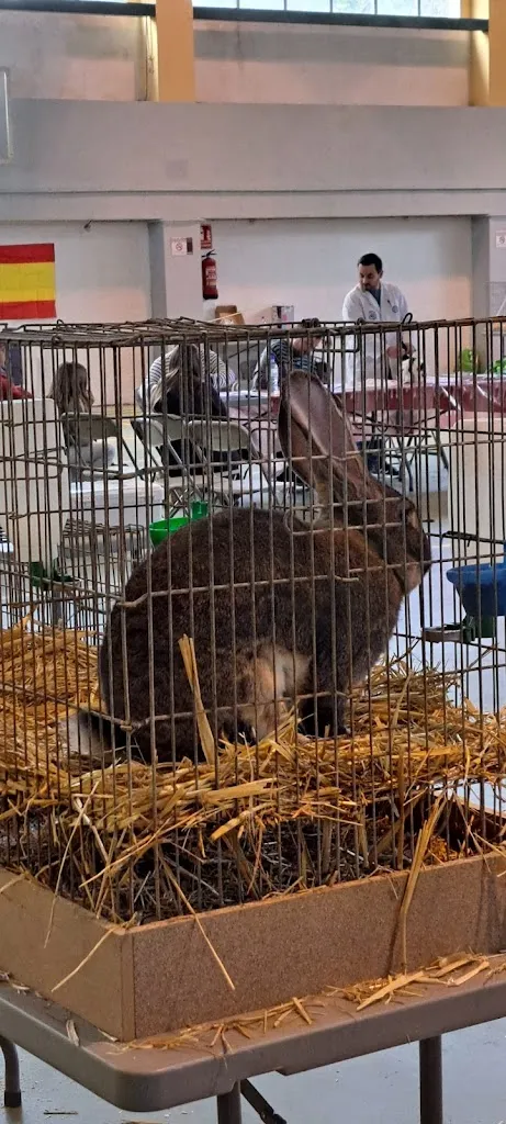 Ca-Ma-So_Gastro terraza la chopera_Illueca_review