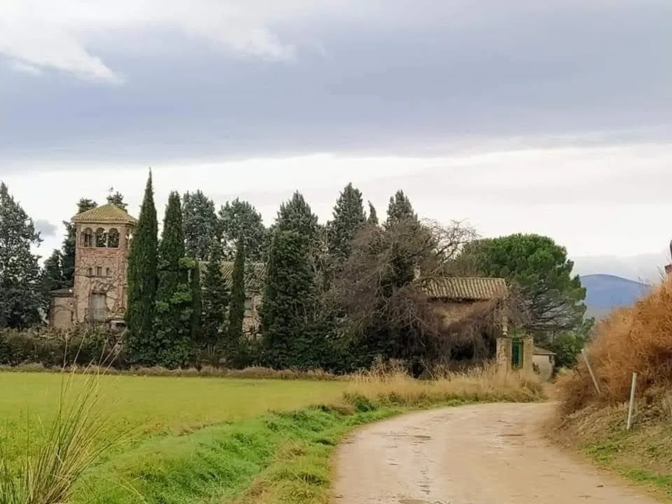 Asociacion Milexia Bar publico_Maleján_slider_image_3