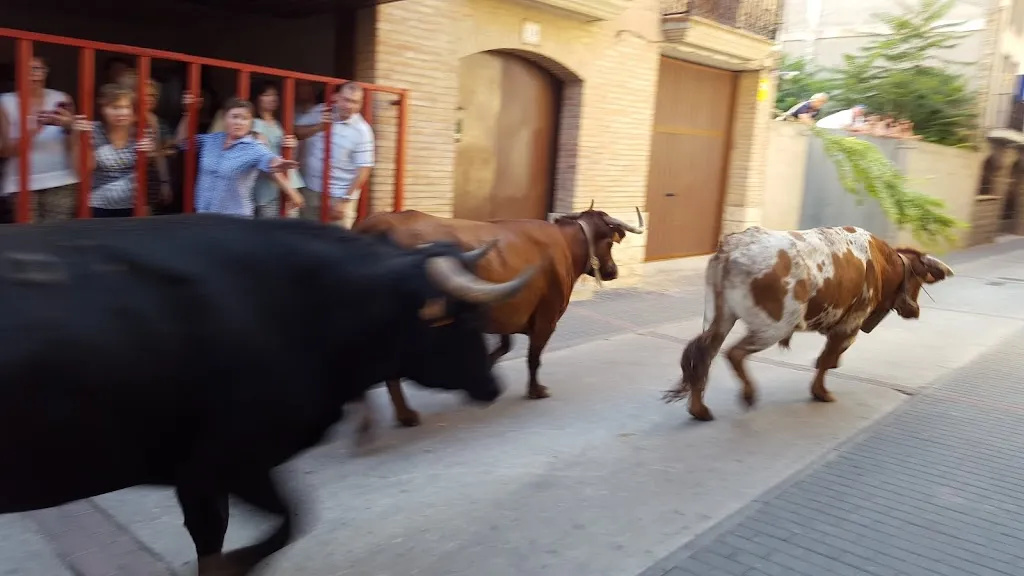 Bar Tauro_Mallén_slider_image_2