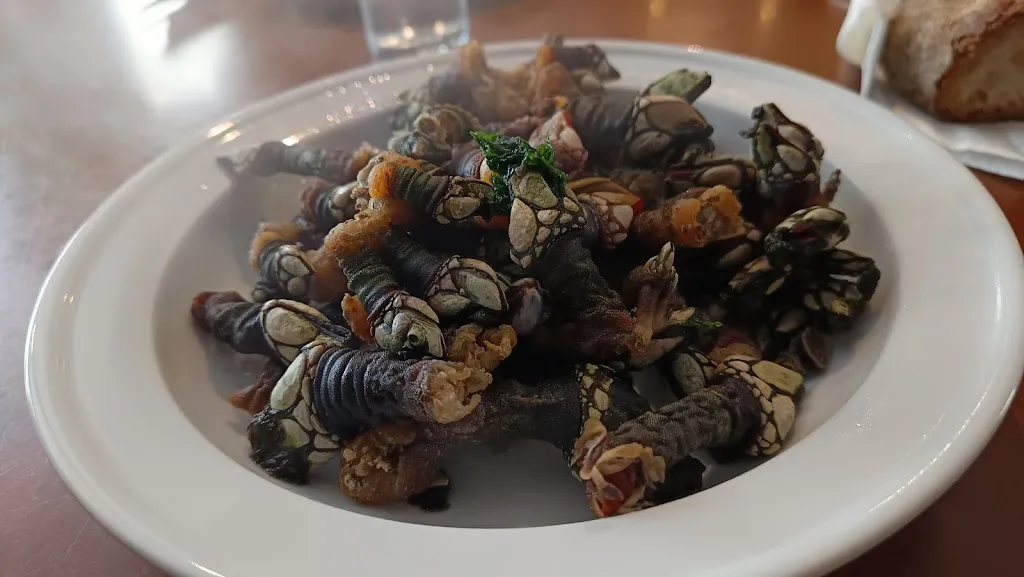 Javi Santos_Café bar Os De Teixedelo_Cedeira_avis