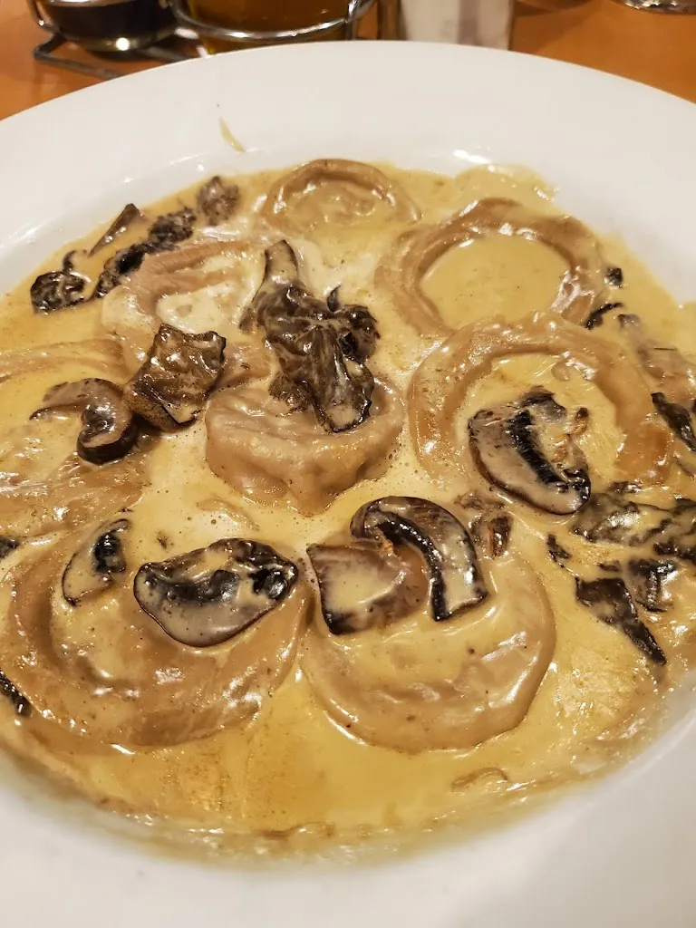 Michael_Malón_Malón_review