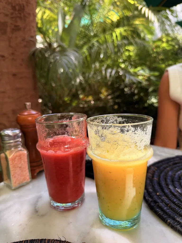 Tamara K_Le Jardin Restaurant Marrakech Medina_Marracos_review