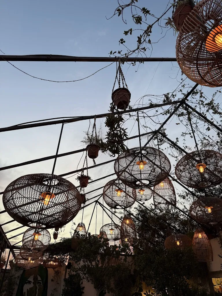 Milan Dodic_L'mida Marrakech_Marracos_review