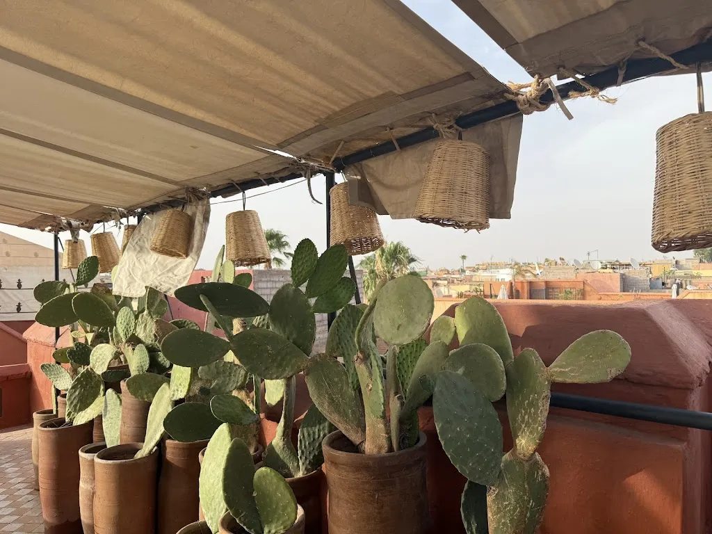 Justyna Baker_Dar Zellij_Marracos_Bewertung