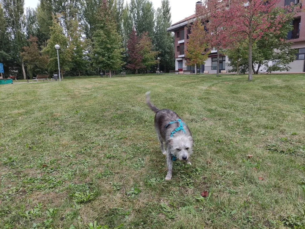 Restaurante Landako_Amurrio_slider_image_2
