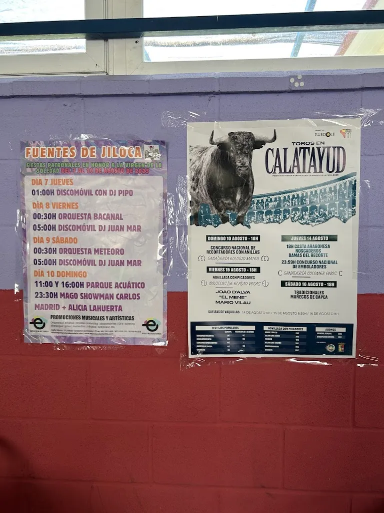 Arantxa GO_Bar Piscinas Paracuellos de Jiloca_Paracuellos de Jiloca_review