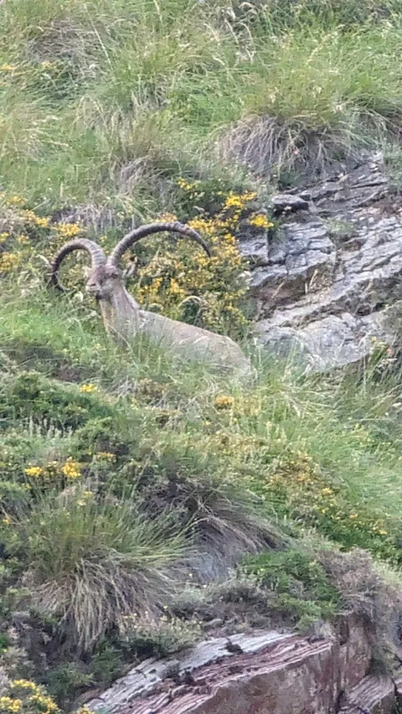 Bruce Bundy_Mirador de Oseja de Sajambre_Oseja_review
