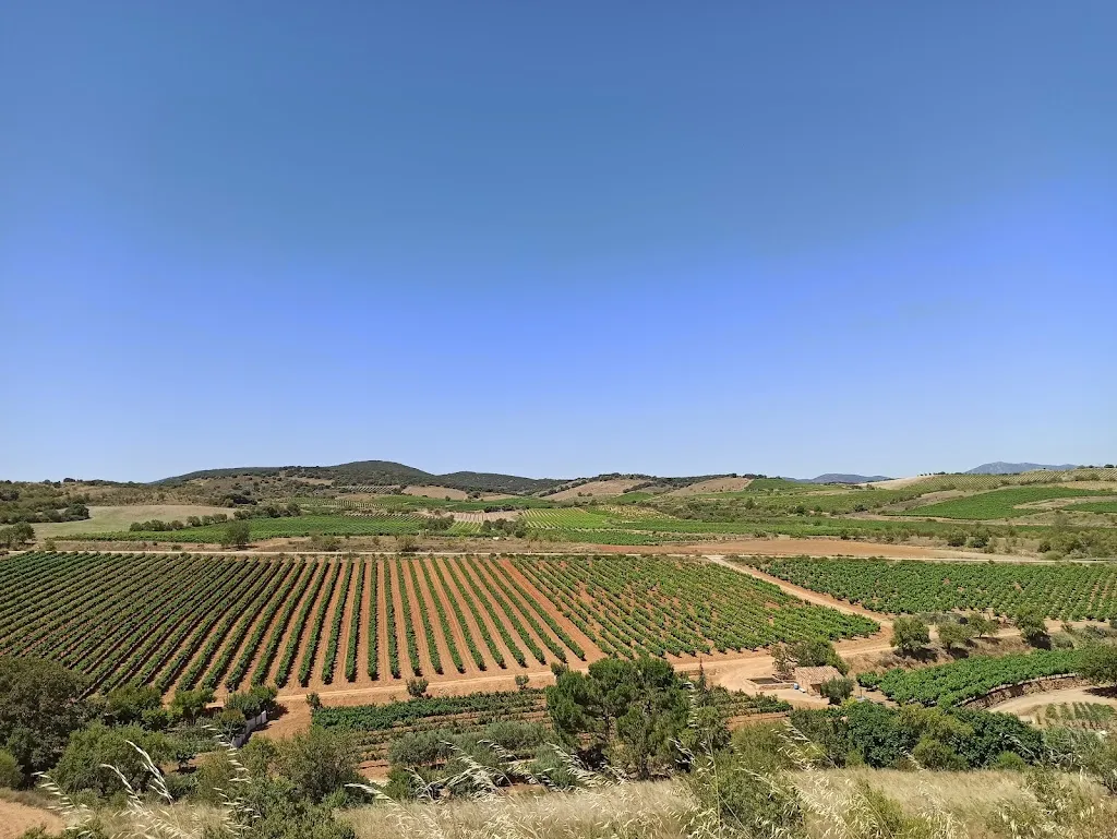 Ainhoa Tejada Gonzalez_Paniza_Paniza_review