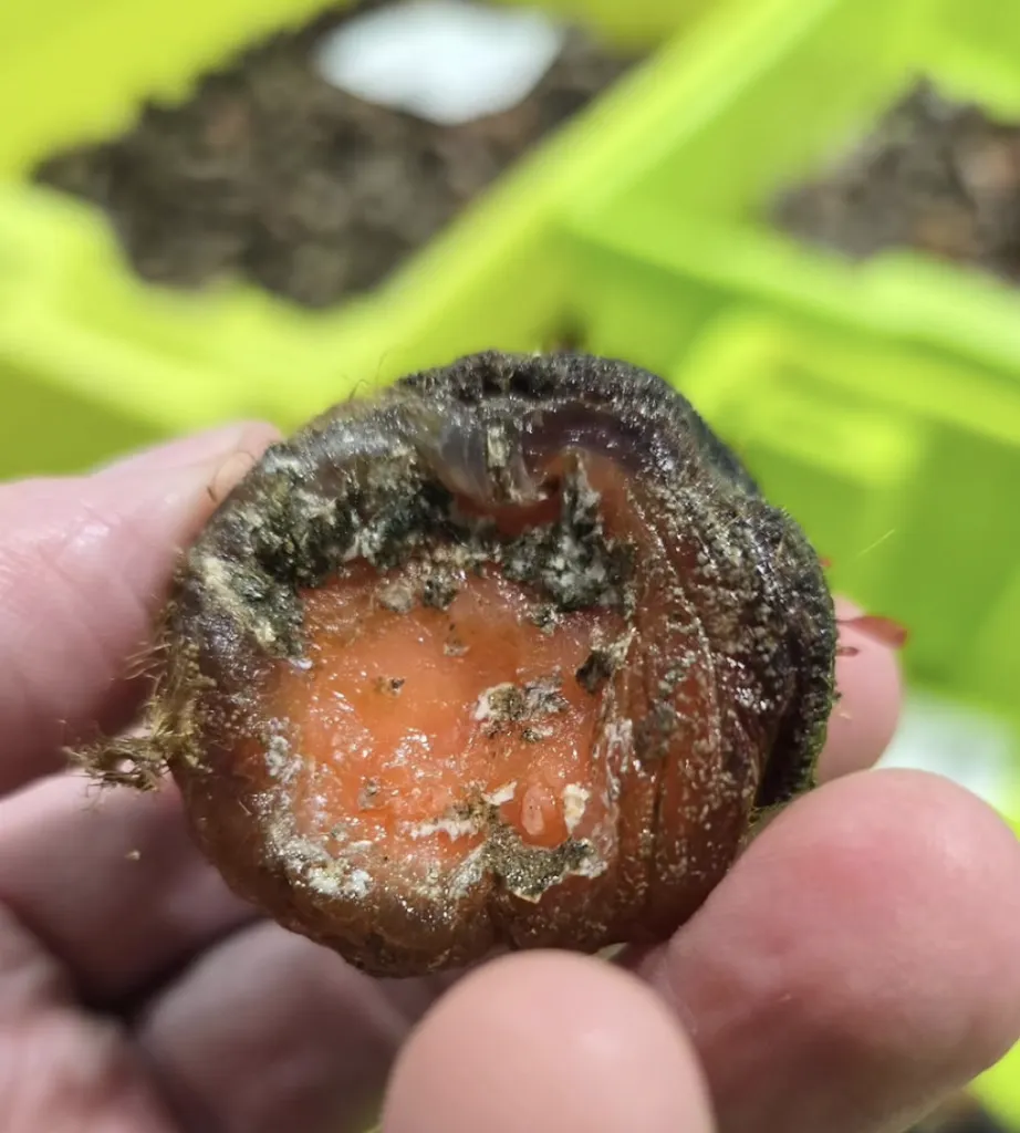 Terradomarisco. Marisquería en Cedeira. Pescado y marisco._Cedeira_slider_image_2