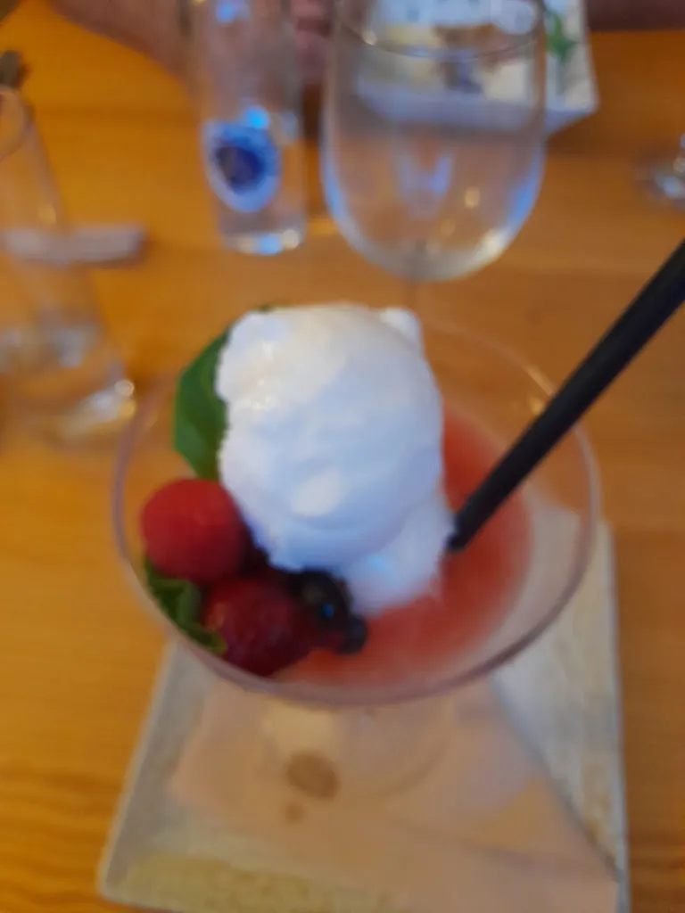 Menu_The Courtyard Tandoori Bar and Bistro_Salillas de Jalón_image_9