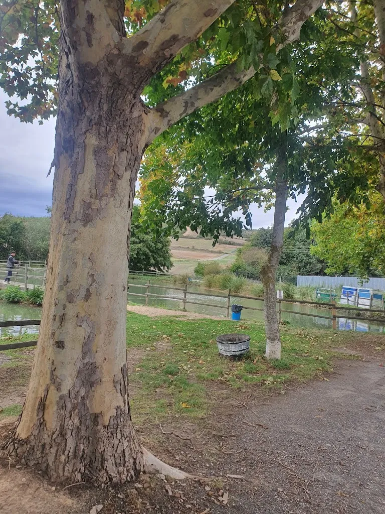 Bárbara_Pesca de Truchas en Santa Cruz del Fierro_Armiñón_review