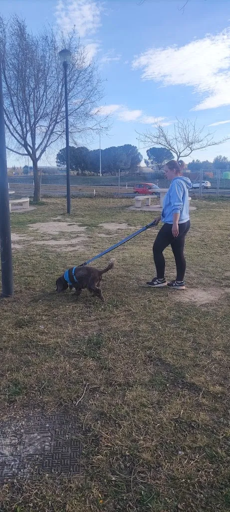 Gary Fearon_Restaurante Airea North_Sobradiel_review